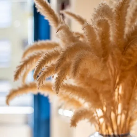 Nadmorskie Miejsce *