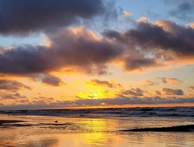 Daire Nadmorskie Miejsce Gdynia